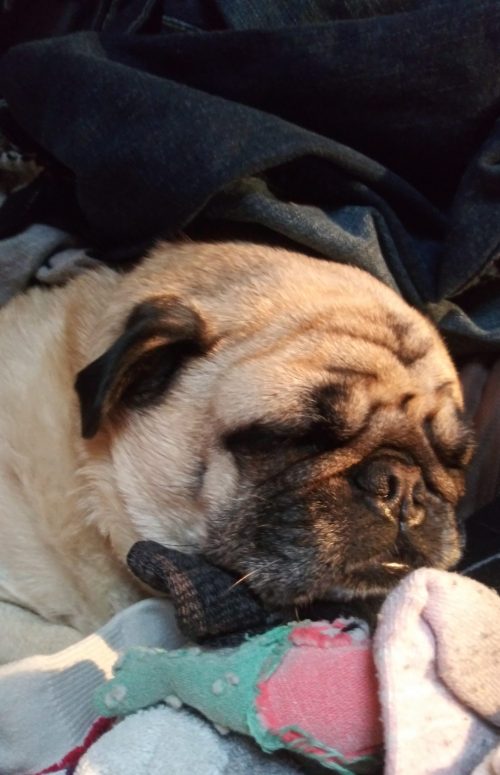 0 G[24.6] N[4] od[3][2][1][0] e_f_d_p[85] a_e_f[0] c_p_n[20] FM0 CR0 Prmid2 mxDrkA2.51 mxBrtA0.33 mxPkNSat1.76 dr43.11 br5.94 wdr21.09 wbr2.84 sbr0.50 ldr45.18 lp24.0 [f0] 111111111bfalic 00000