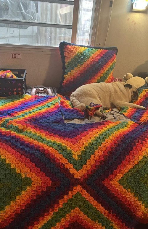 chewy and the rainbow blanket